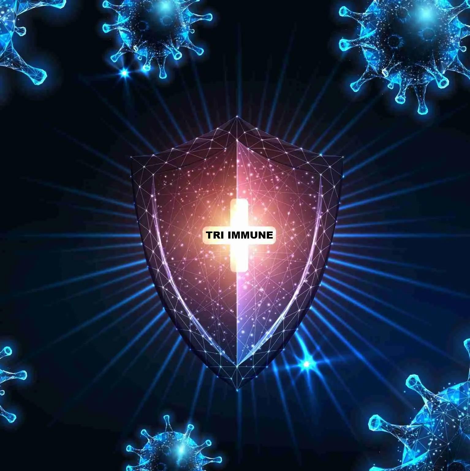 unnamed image